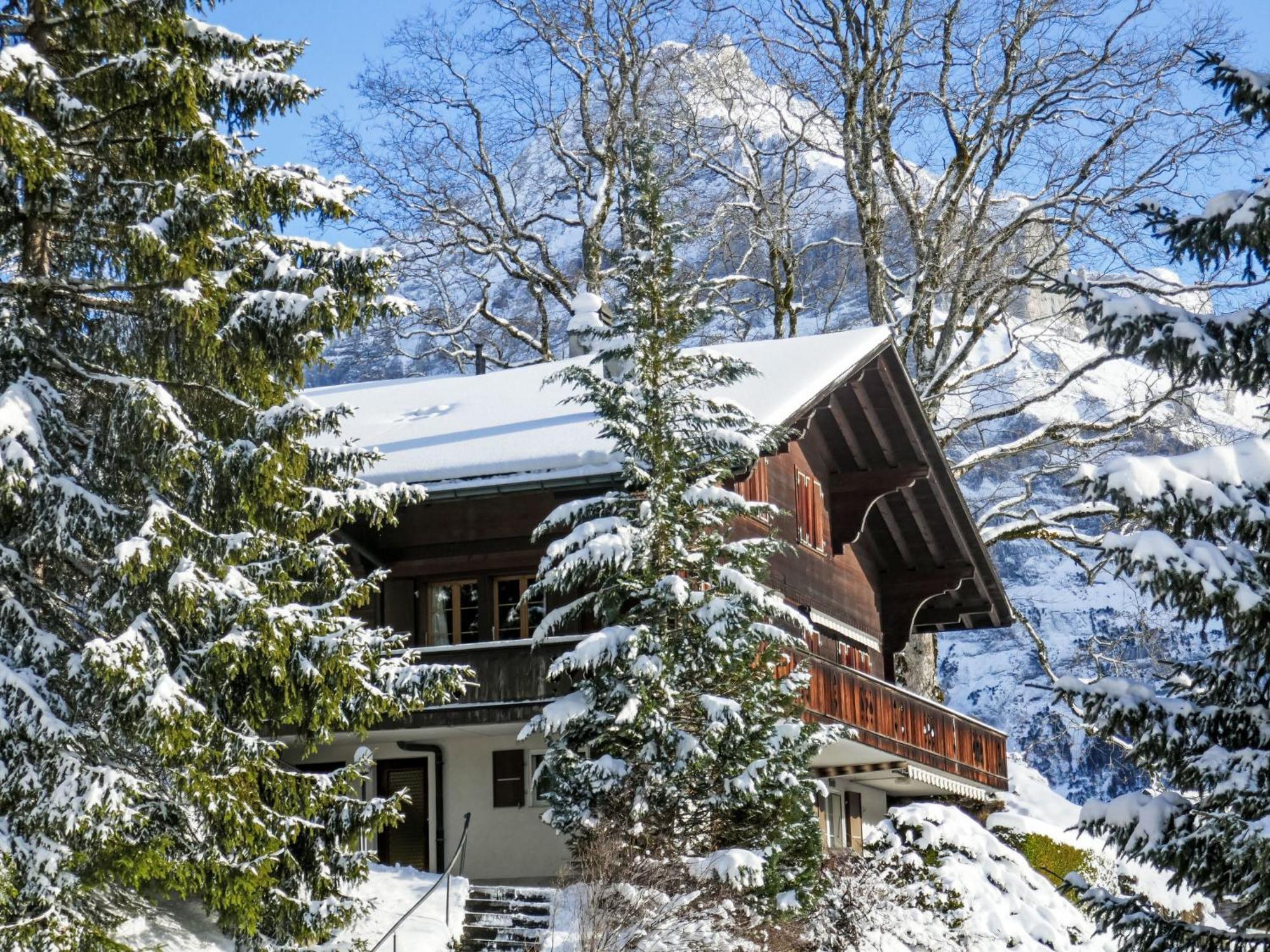 Apartment Chalet Hobelbank By Interhome 格林德瓦 外观 照片